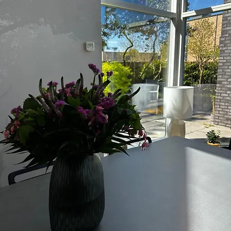 Comfort Meets Design Villa