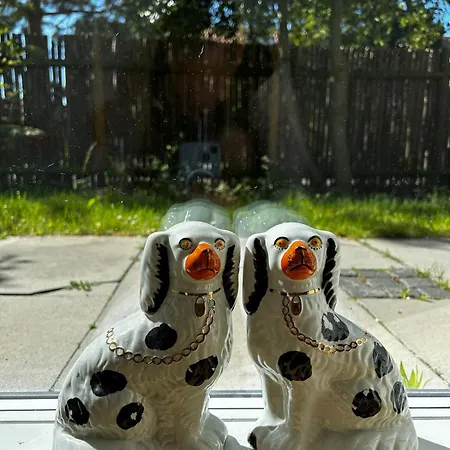 Comfort Meets Design *