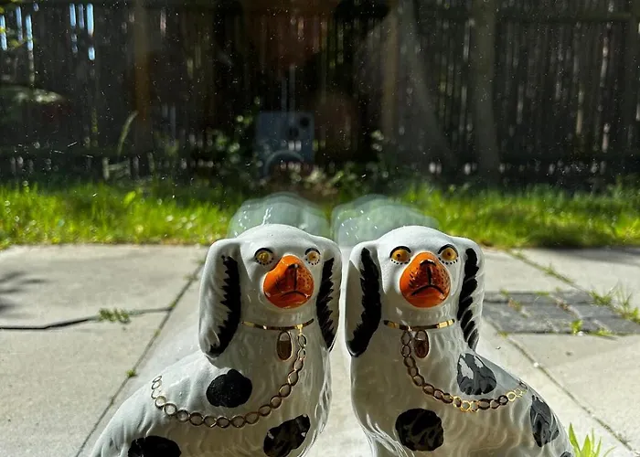 Comfort Meets Design *