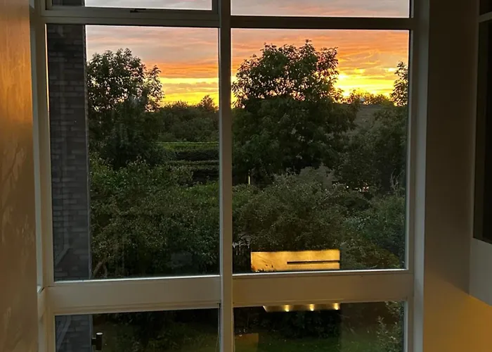 Comfort Meets Design *